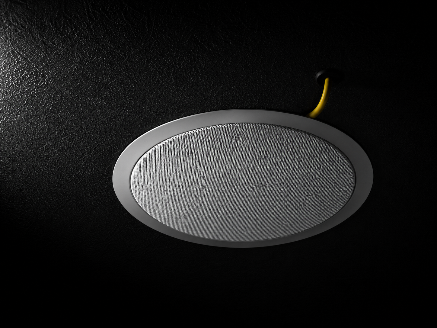 whole home audio