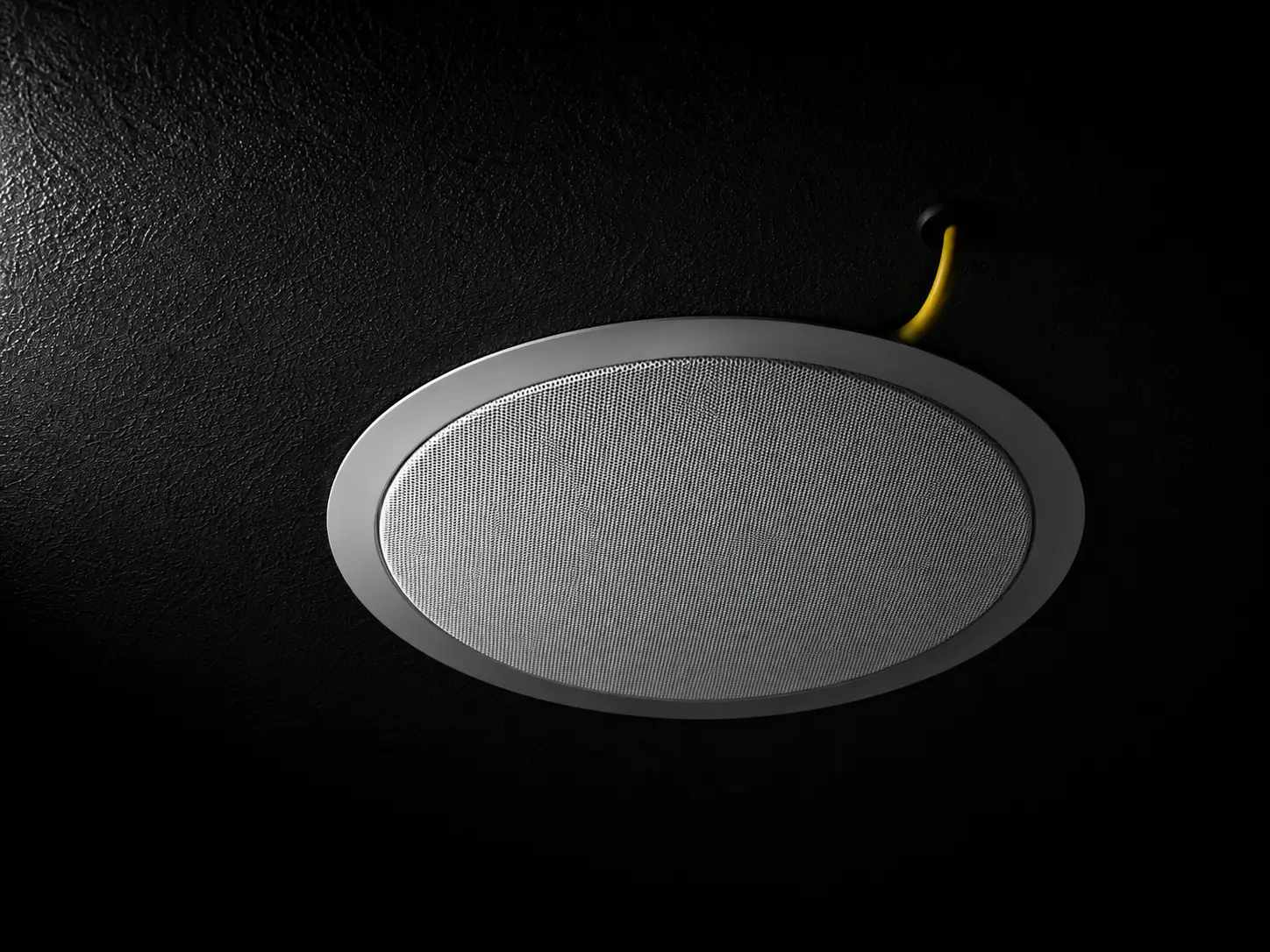 whole home audio